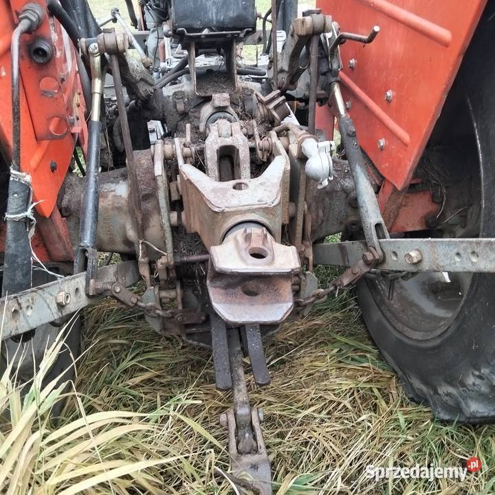 Sprzedam Massey Ferguson 255 Skrzynia biegów Manualna Siedlce