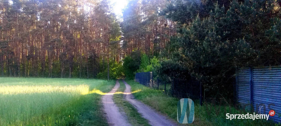 Mieszkanie na sprzedaż Miłoszyce 5233m2 Sprzedaż