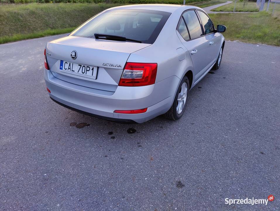 Skoda Octavia III 16 TDI 2013r Škoda Aleksandrów Kujawski sprzedam