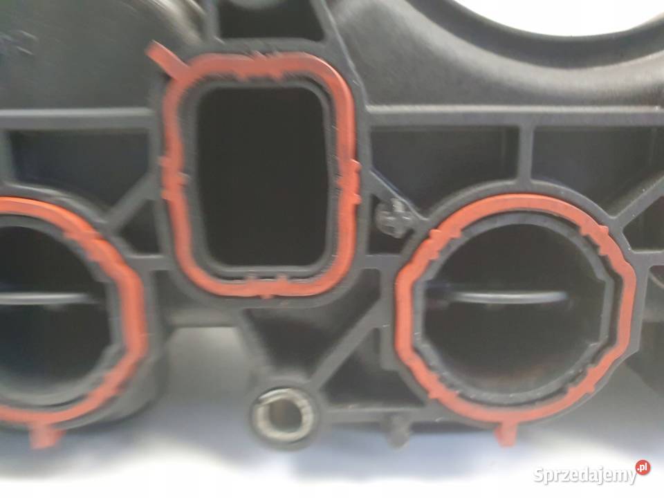 Audi A3 II 8P 16 TDI KOLEKTOR SSĄCY nastawnik osobowe Rudka