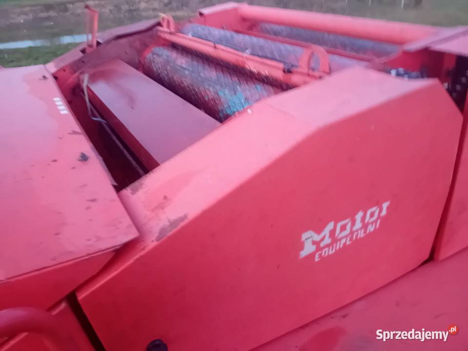 Sprzedam prase Welger Rp 12swiązanie na jeden łódzkie Łowicz