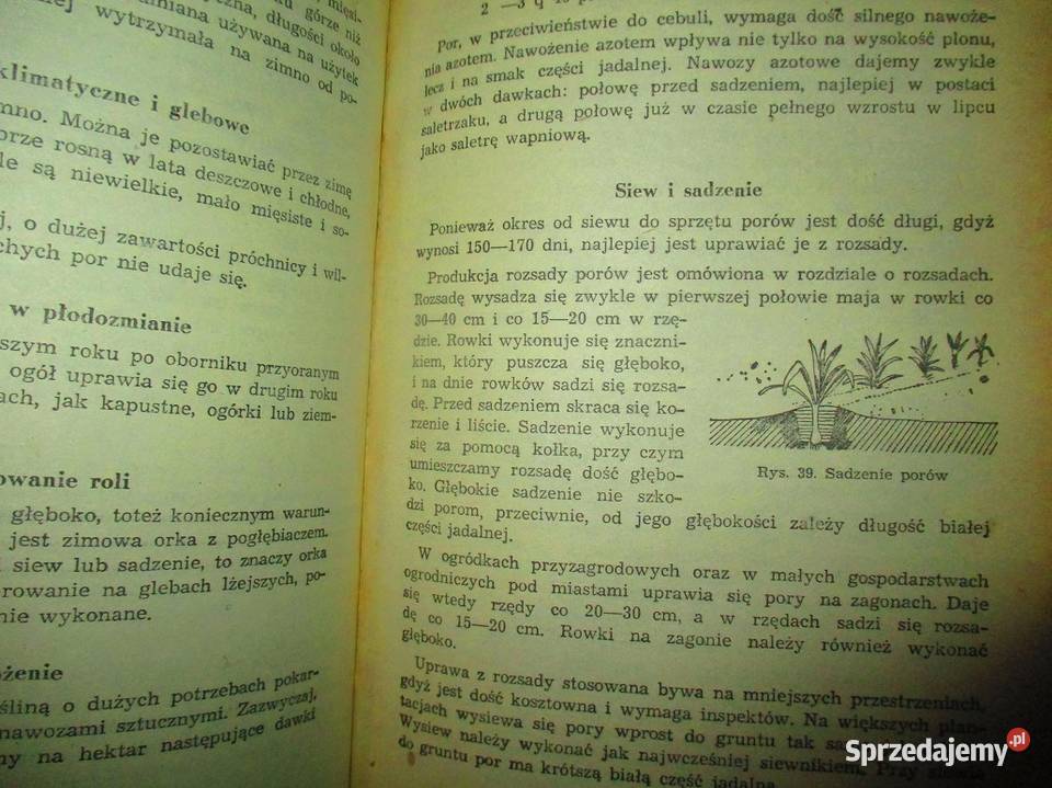 Poradnik ogrodniczy ogród działka uprawa Łódź