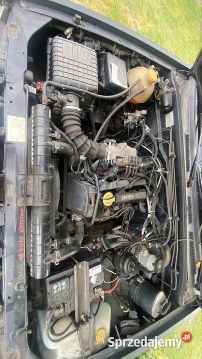 Opel Frontera 20 LPG tyl na sprężynie Frontera Pełczyn