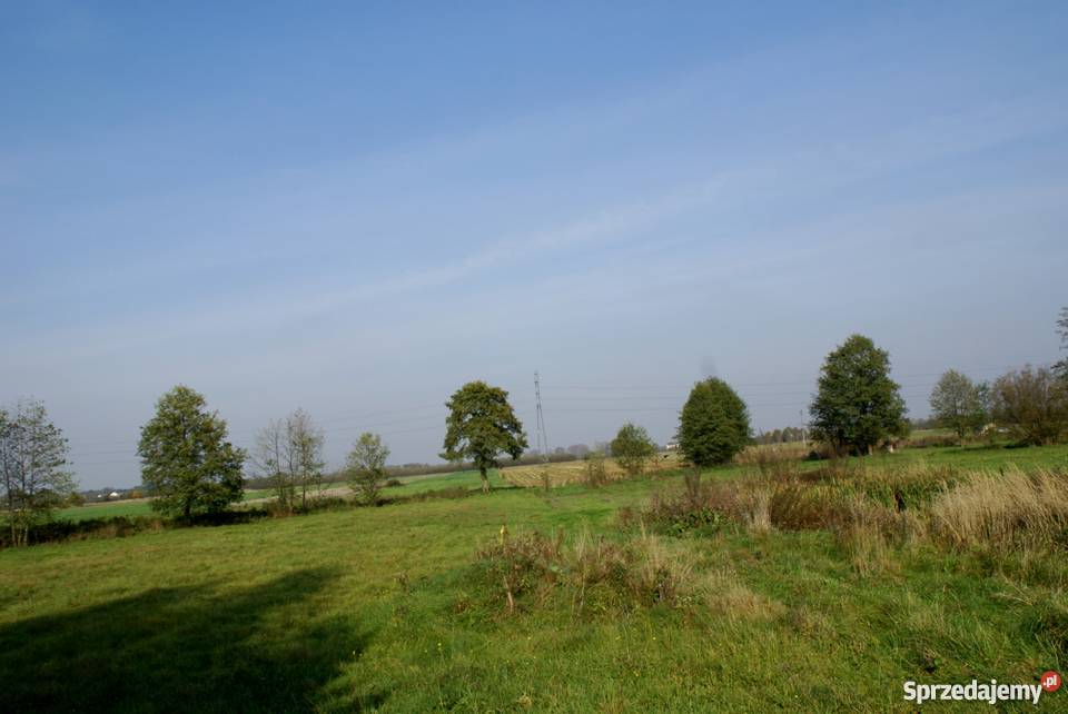 Dom 330 m2 Ogrodzisko 818zł/m2 Zduńska Wola