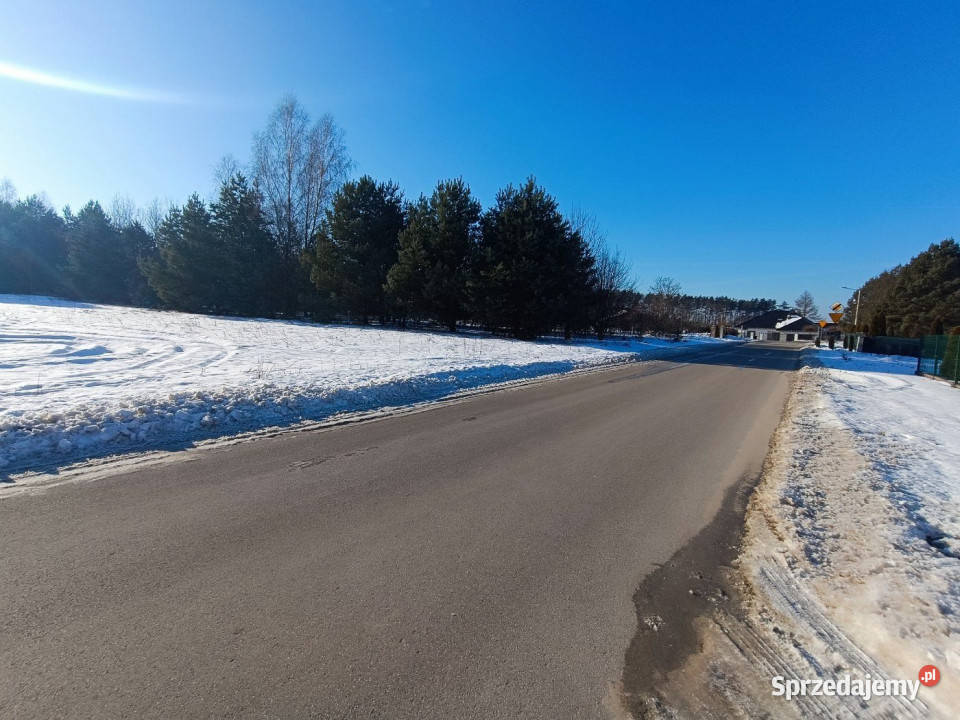 Sprzedaż gruntu Daleszyce 23170m2 Sprzedaż