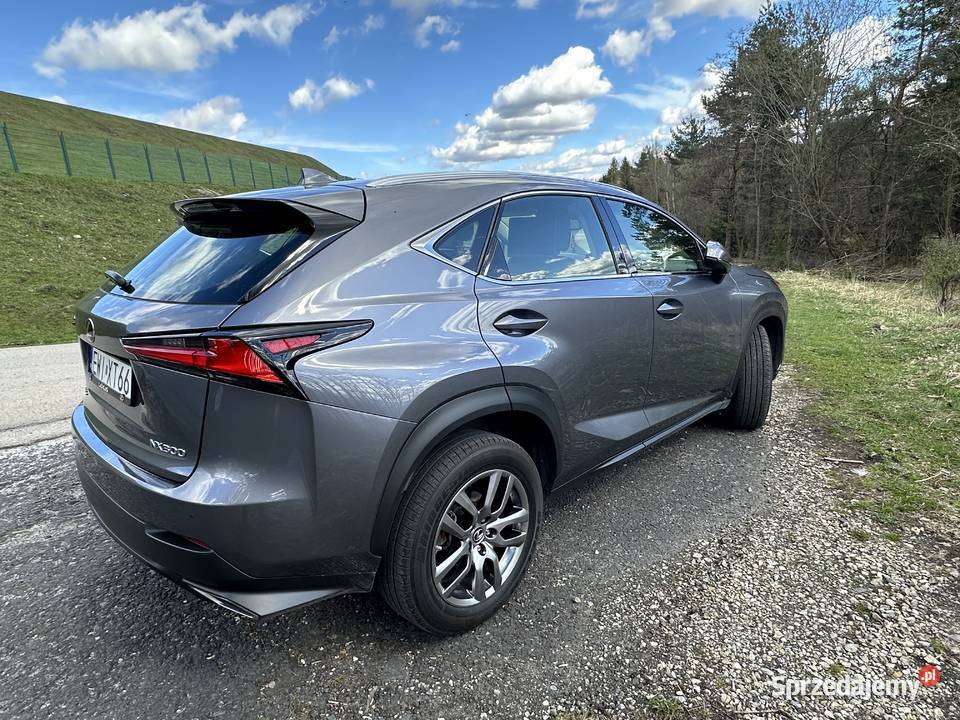 Lexus NX 300 238 AWD HAK Rok produkcji 2021 NX Górki Wielkie