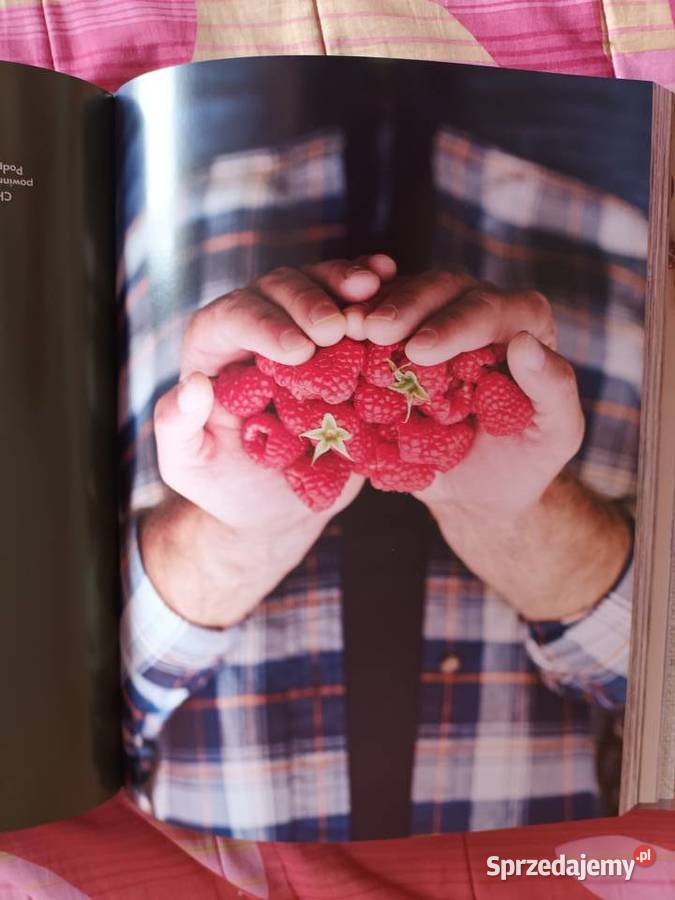Kuchnia śródziemnopolska Legnica