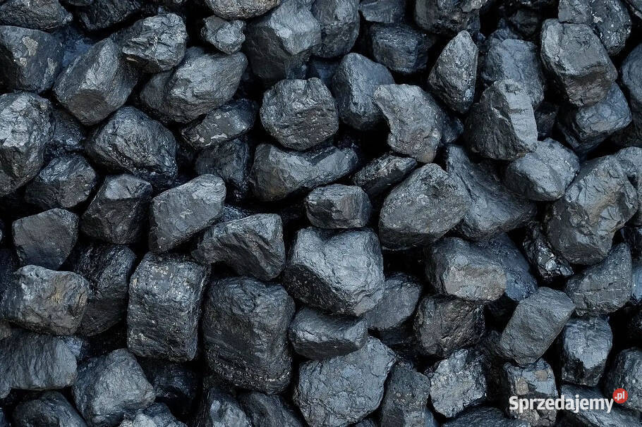 Pellet Olczyk Lava Olimp Barlinek Feniks śląskie Rydułtowy