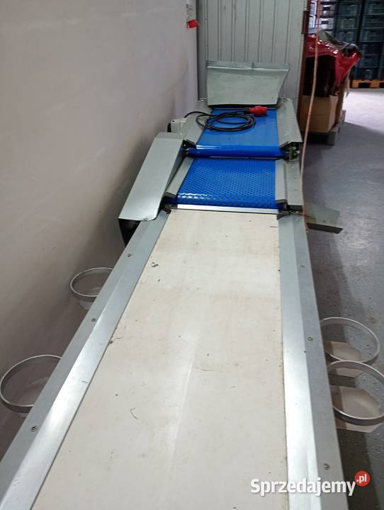 Sortownik do borówki Zwoleń