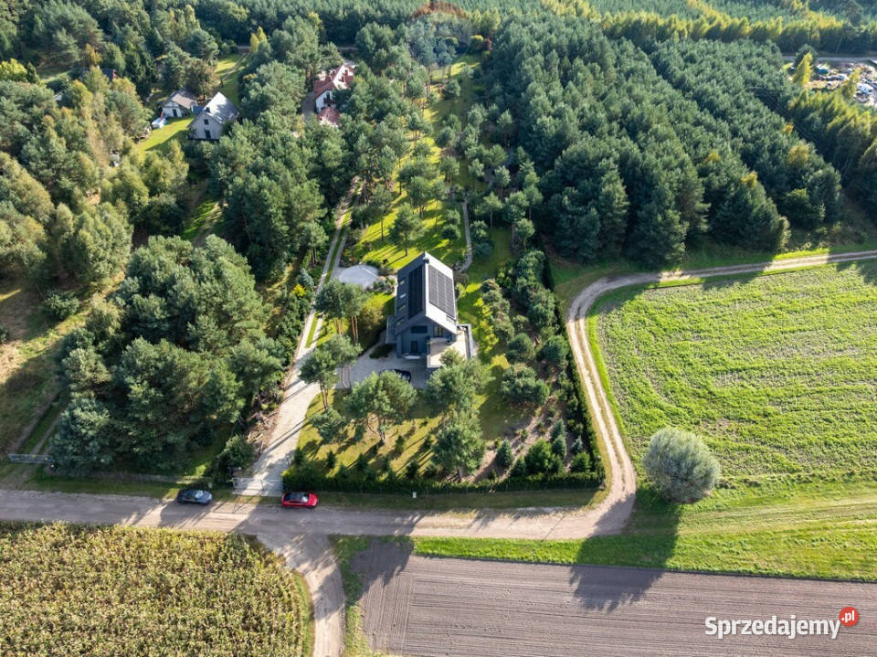 Wyjątkowa posiadłość w Wilkowyi koło Jarocina wielkopolskie sprzedam