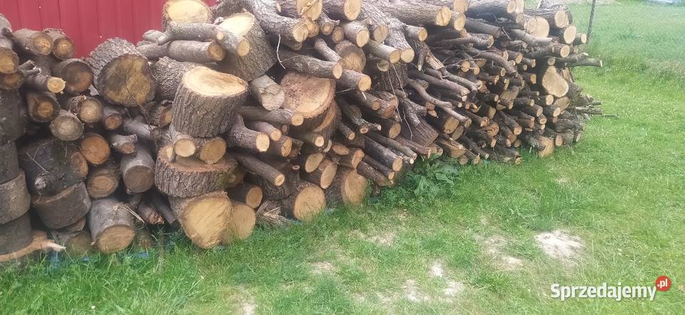 Drzewo kieszeni Frysztak