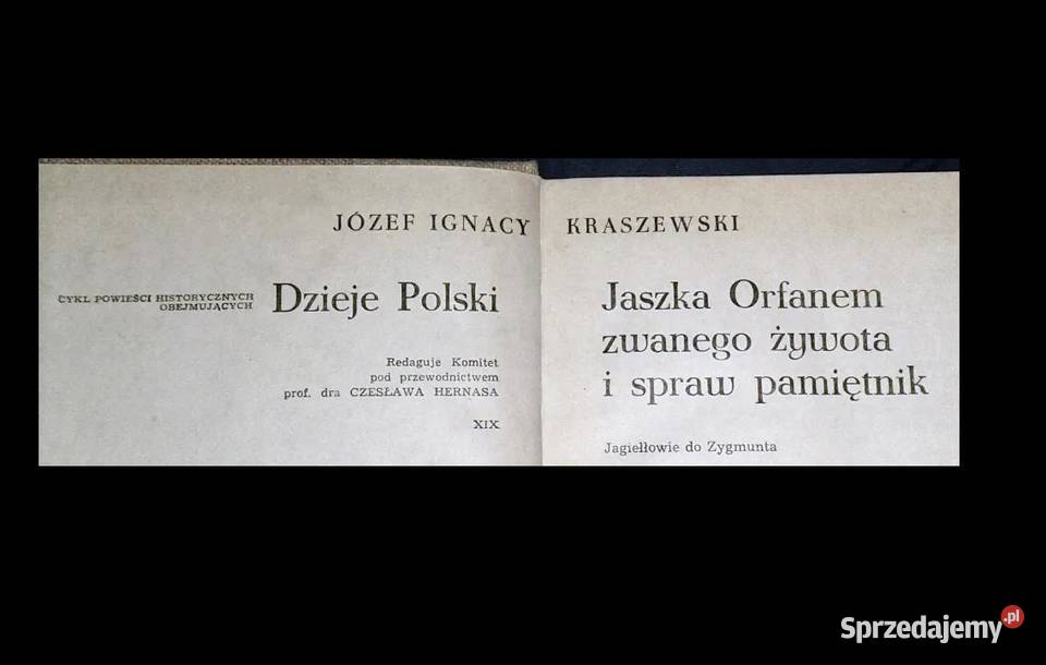 Jaszka Orfanem zwanego żywota i spraw pamiętnik lubelskie Chełm sprzedam