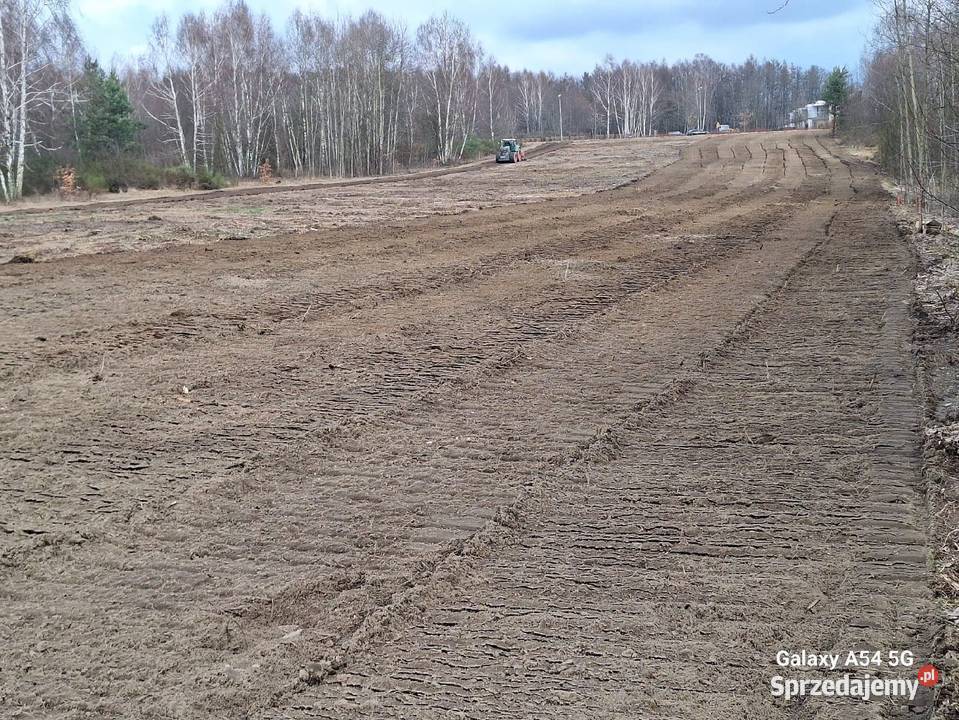 Wycinka drzew Czyszczenie działek Mulczowanie śląskie ogród