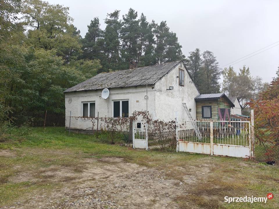 Syndyk sprzeda Karolew