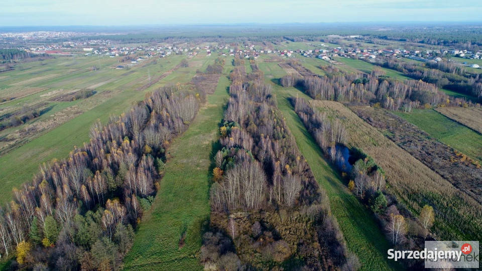 sprzedaży działki DereźniaZagrody 12700m2