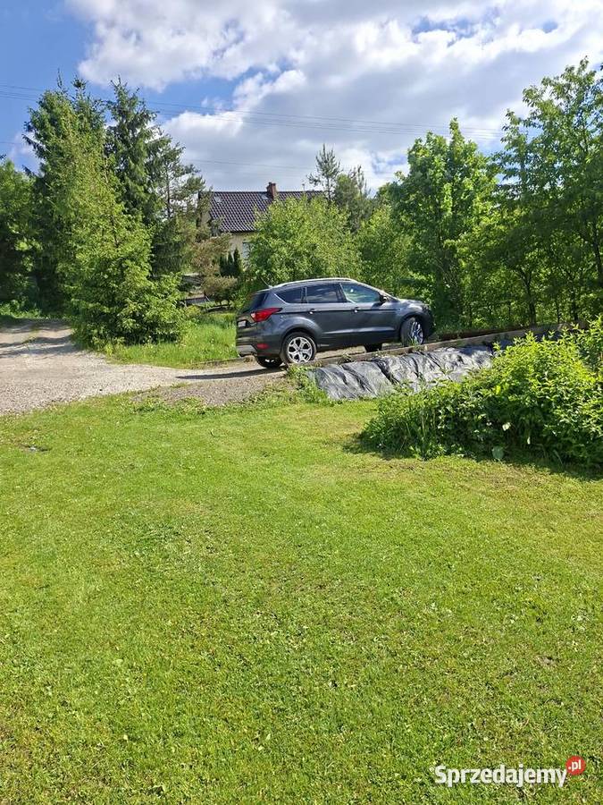 Ford escape Rok produkcji 2019 Sułkowice