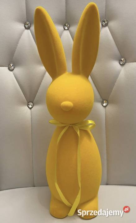 Zając welurowy Słubice sprzedam