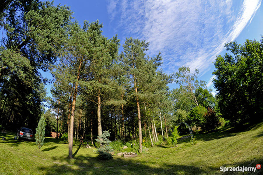 Działka rekreacyjna rzeką W lesie utwardzona Purda Leśna