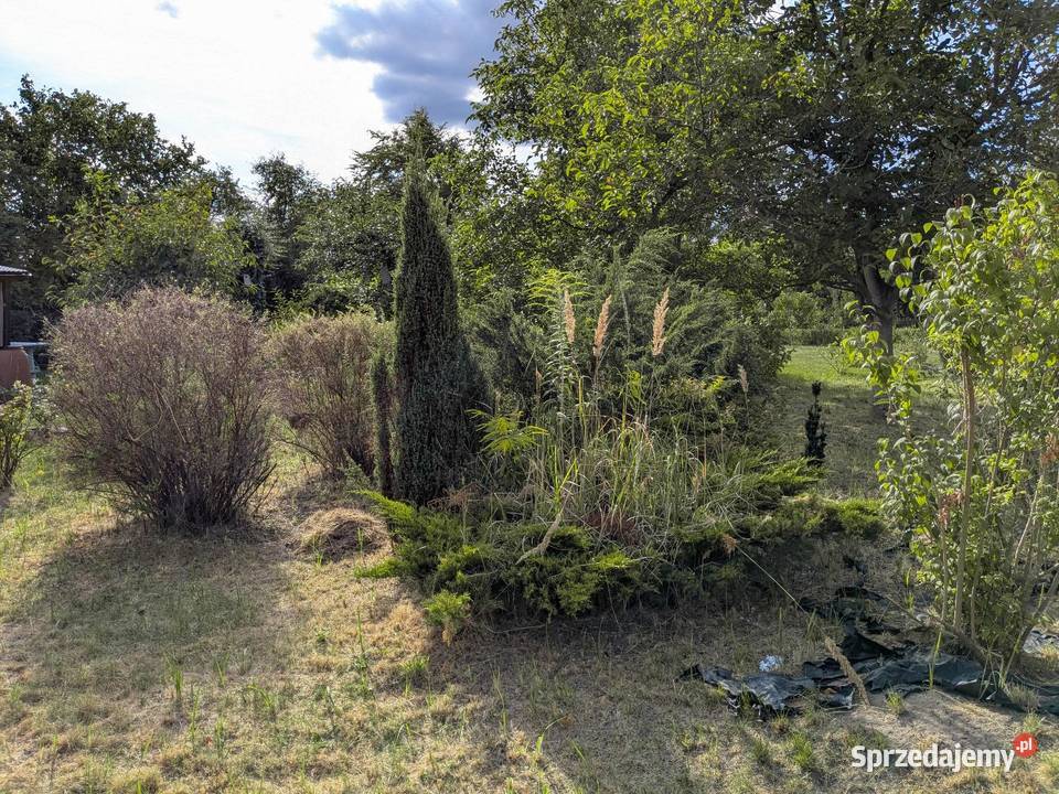 Działka ROD Rekreacyjna Malinka 1 mazowieckie