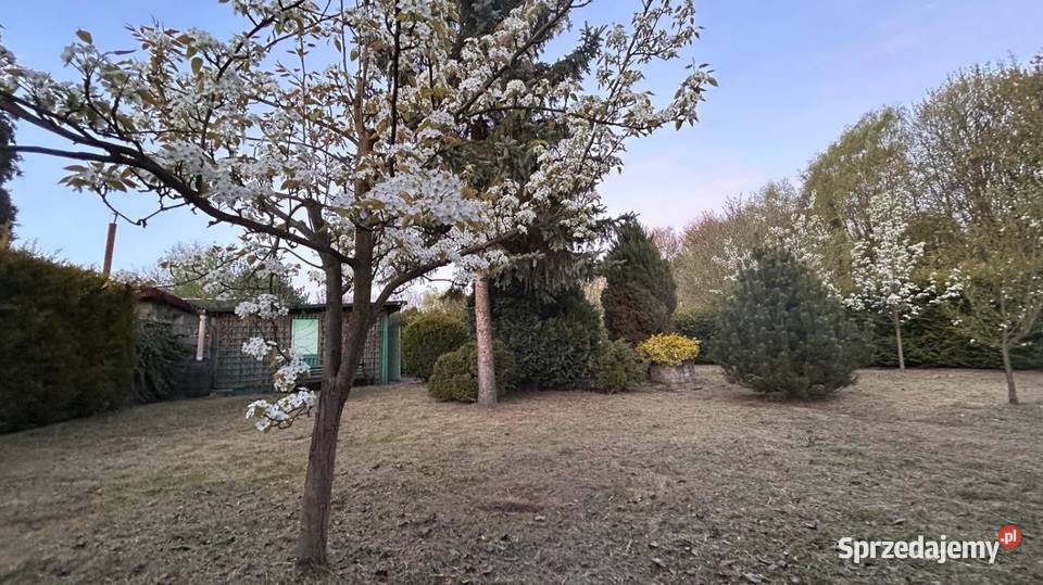 Sprzedam ogródek działkowy obok Parku Śląskiego Sprzedaż Chorzów