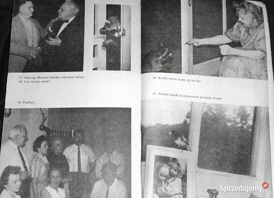 Atlantyk Pacyfik W ślady Kolumba Melchior Pozostałe Chełm