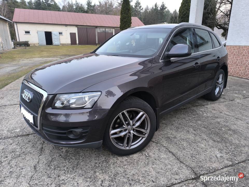 Audi Q5 20 TDI170 koniQuattroSALON POLSKA diesel Motoryzacja Czyżew