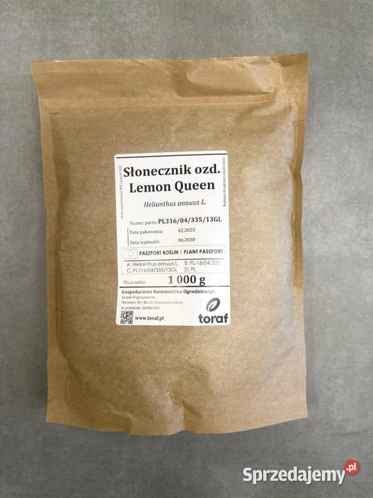 Słonecznik ozdobny Lemon Queen nasiona Zboża Łowicz