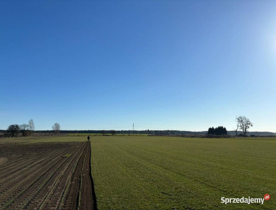 40m trawa w rolce Plantacja opolskie Opole