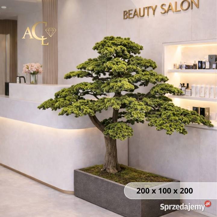 Sztuczne drzewko Bonsai Premium 200x100x200 Golkowice