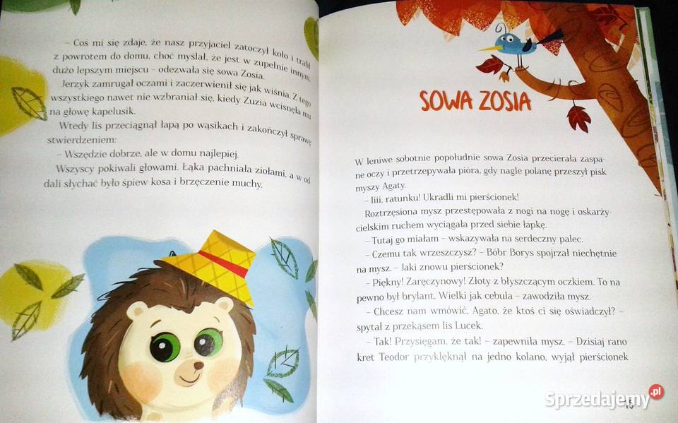 Co się stanie na leśnej polanie czyli Wesołe lubelskie Chełm