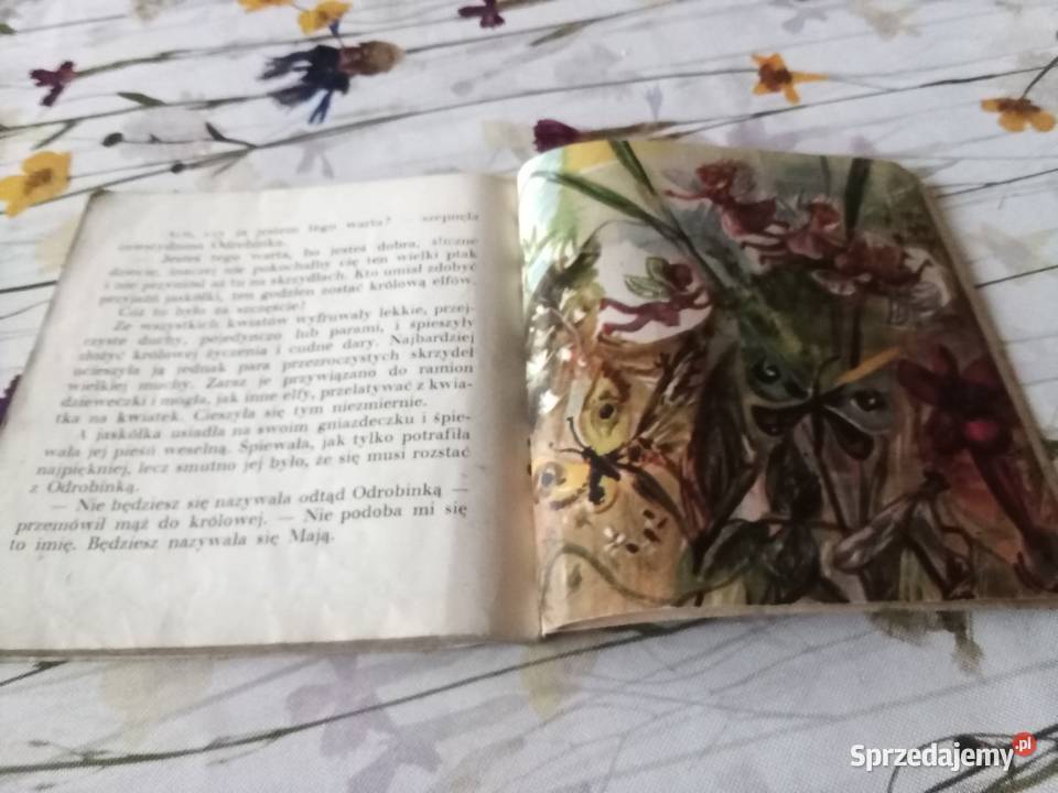 PRL książka dzieci Dziecię Elfów Łódź