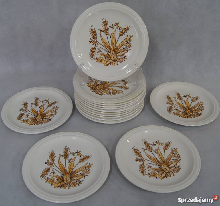 Rustykalny talerz obiadowy płytki Chojnice