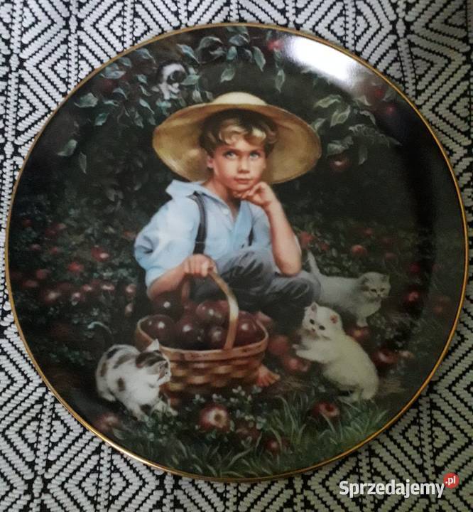 talerze kolekcjonerski z USA RECO Chełm sprzedam