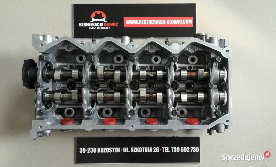 GŁOWICA Renault Nissan 25 DCI AD2 Cabstar Navara podkarpackie Brzostek