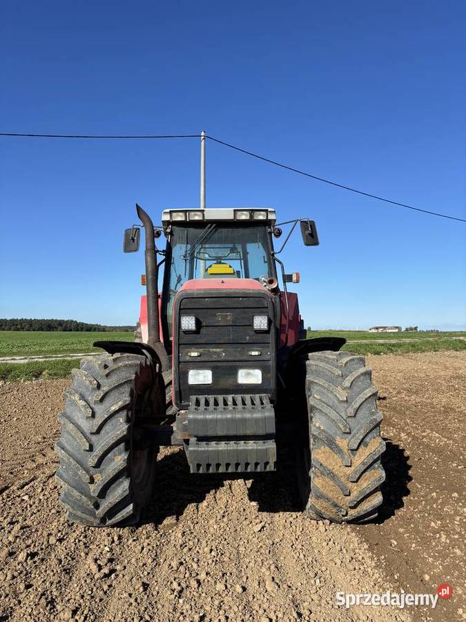 Massey Ferguson 8140 pomorskie Kwidzyn