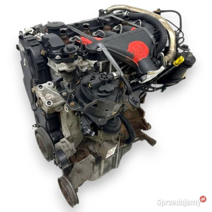 SILNIK RHK Peugeot Expert Citroen Jumpy Fiat osobowe Chełm