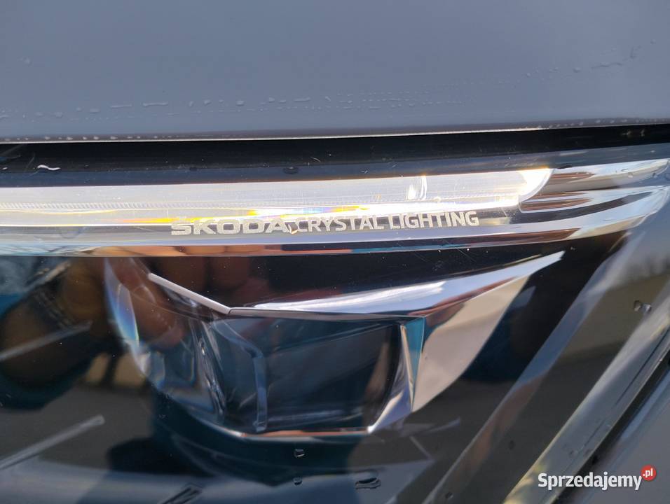 SCALA Monte Carlo 2023r Zambrów