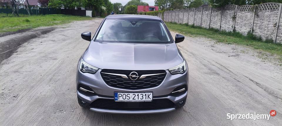 Opel grandland x Grandland X Ostrów Wielkopolski