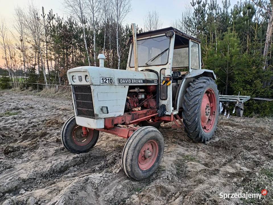 David Brown Case 1210 Starachowice