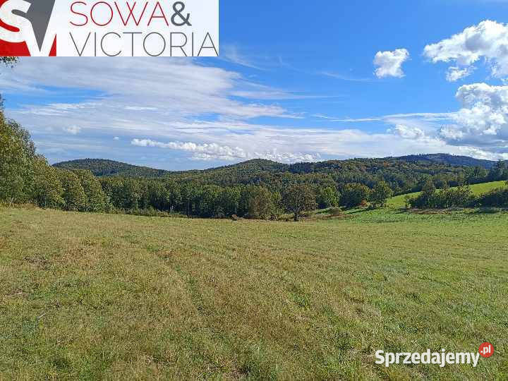 4 działki pod lasem w sąsiedztwie Boreczna