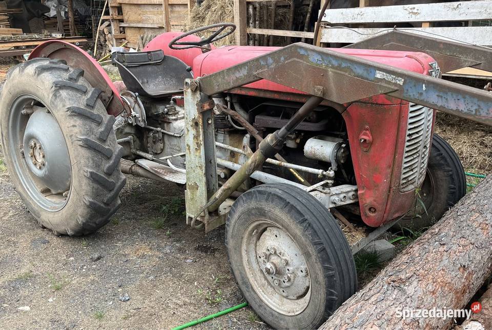Massey Ferguson 35 Mojesz