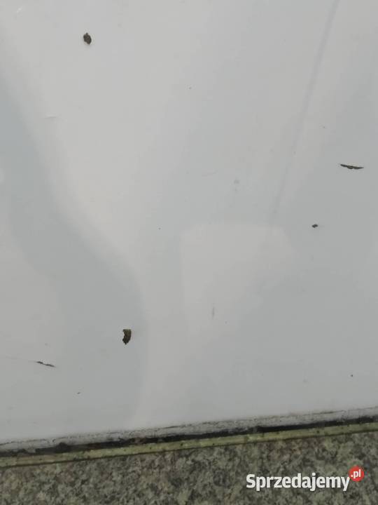 SZYBA DRZWI LEWY PRZÓD 11 SAINT GOBAIN SEKURIT świętokrzyskie