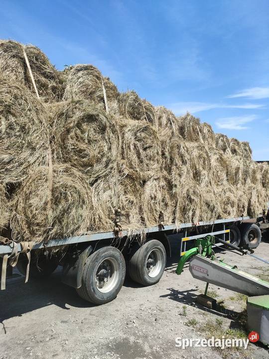 Sprzedam siano wielkopolskie Oborniki