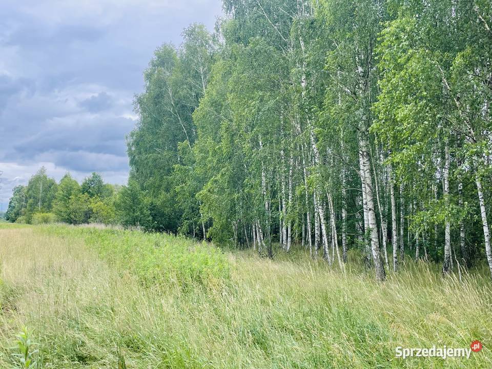 Sprzedam działkę rolną 170ha zostań rolnikiem Sprzedaż Skruda