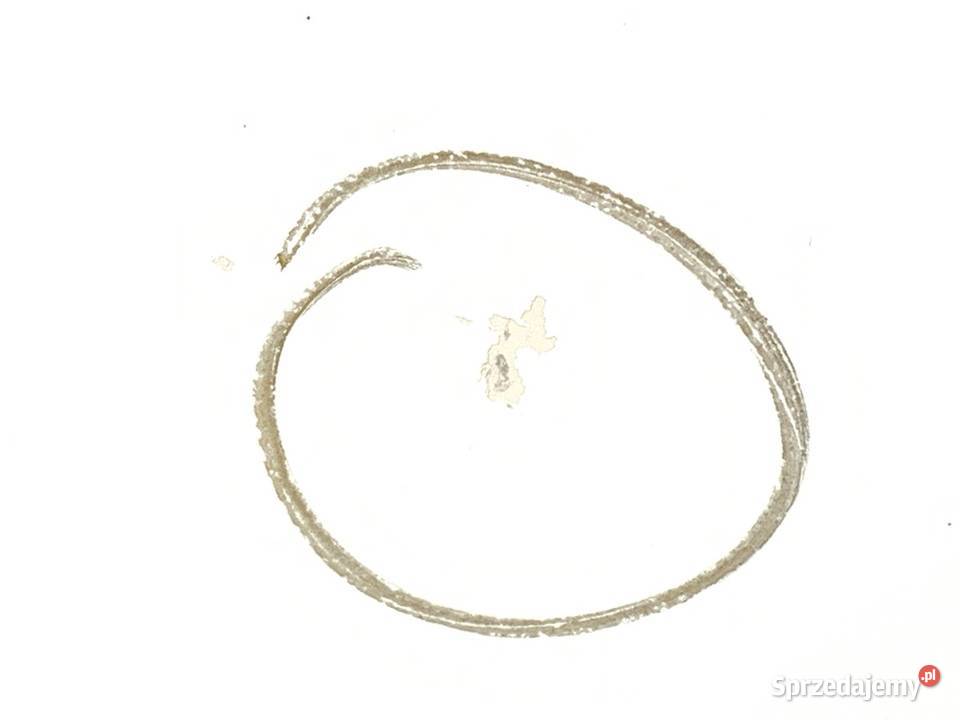 DRZWI LEWY PRZÓD OPEL MOVANO B Bus