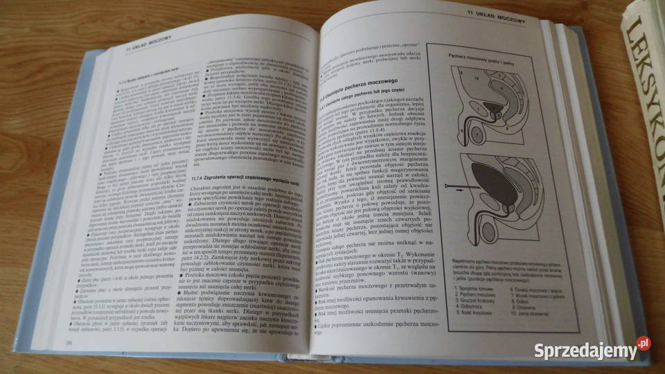 Encyklopedie chorych Zdrowie Operacje Leki Lek wielkopolskie Radzewice