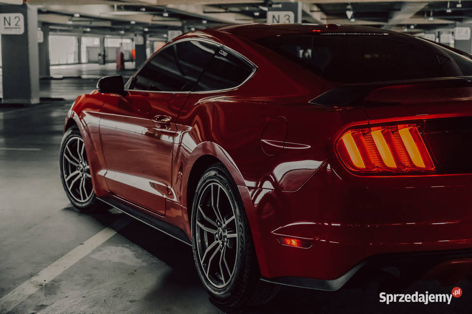 Ford Mustang 23 EcoBoost Motoryzacja śląskie Żory