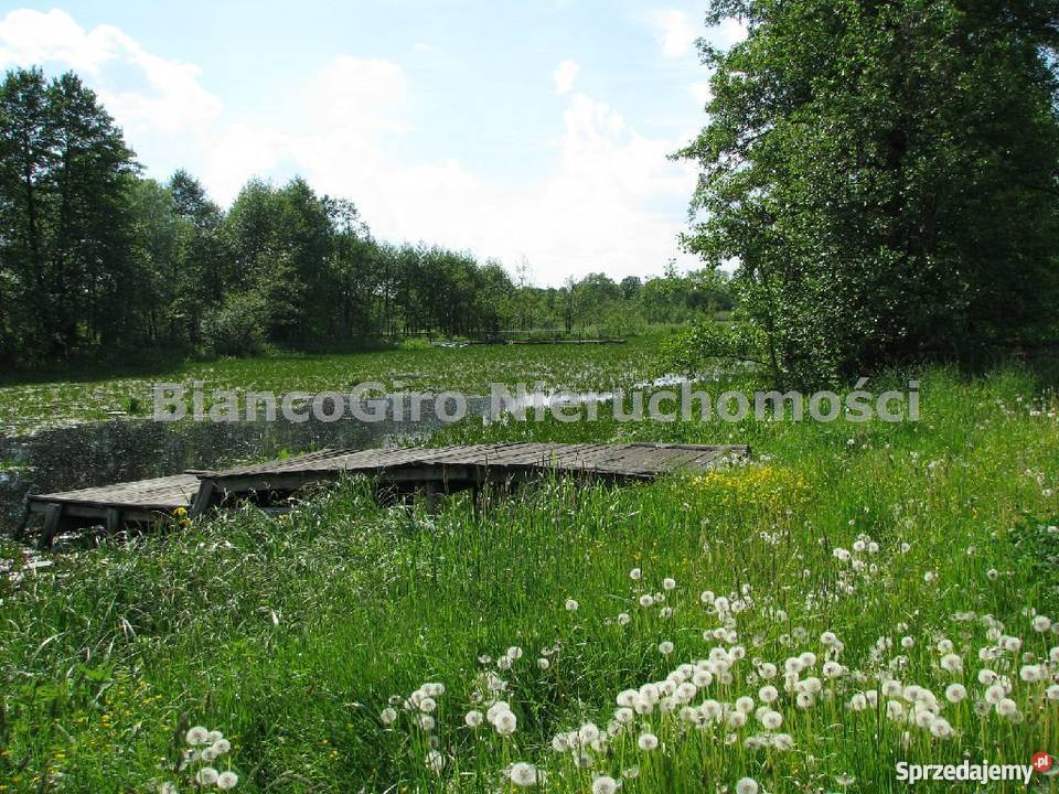 działka 32500m2 Piaski Duchowne Piaski Duchowne