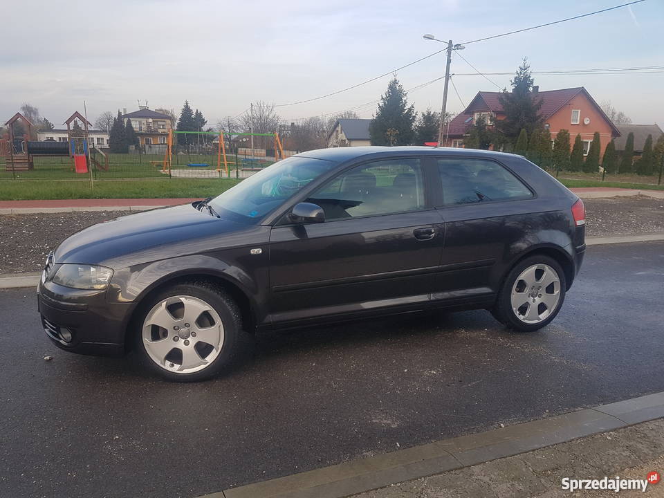 Audi A3 8P 20 TDI 140 opłacony Hebdów