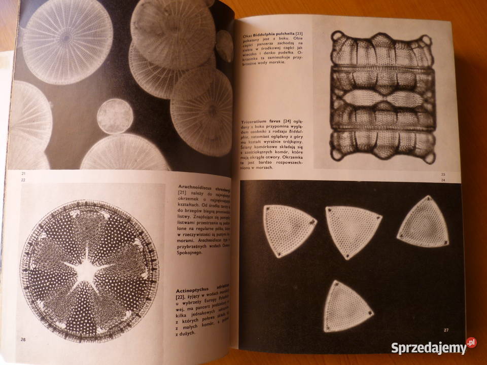 Wielki atlas roślin FANovak Kraków